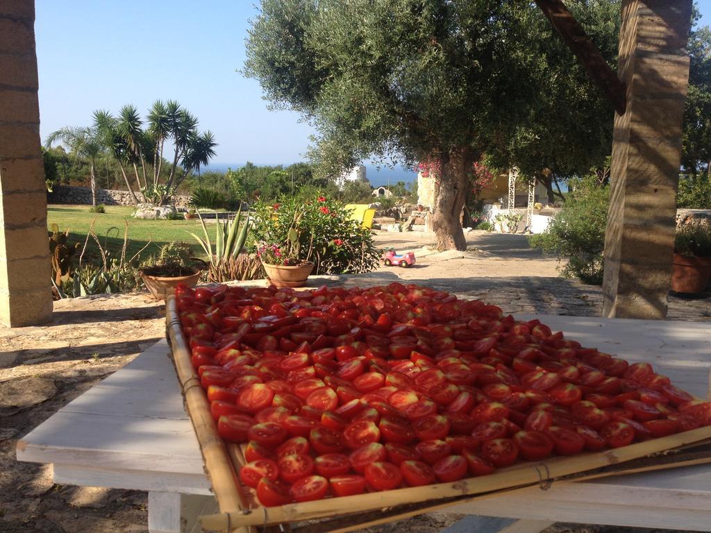 Contrada Borgin Bed & Breakfast Marina Di Pescoluse Luaran gambar