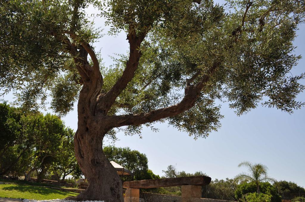 Contrada Borgin Bed & Breakfast Marina Di Pescoluse Luaran gambar